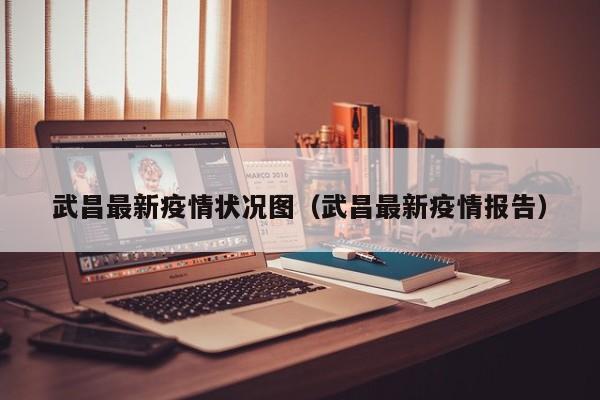 武昌最新疫情状况图（武昌最新疫情报告）
