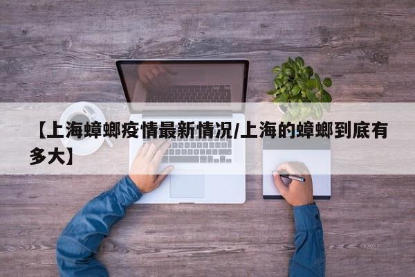 【上海蟑螂疫情最新情况/上海的蟑螂到底有多大】
